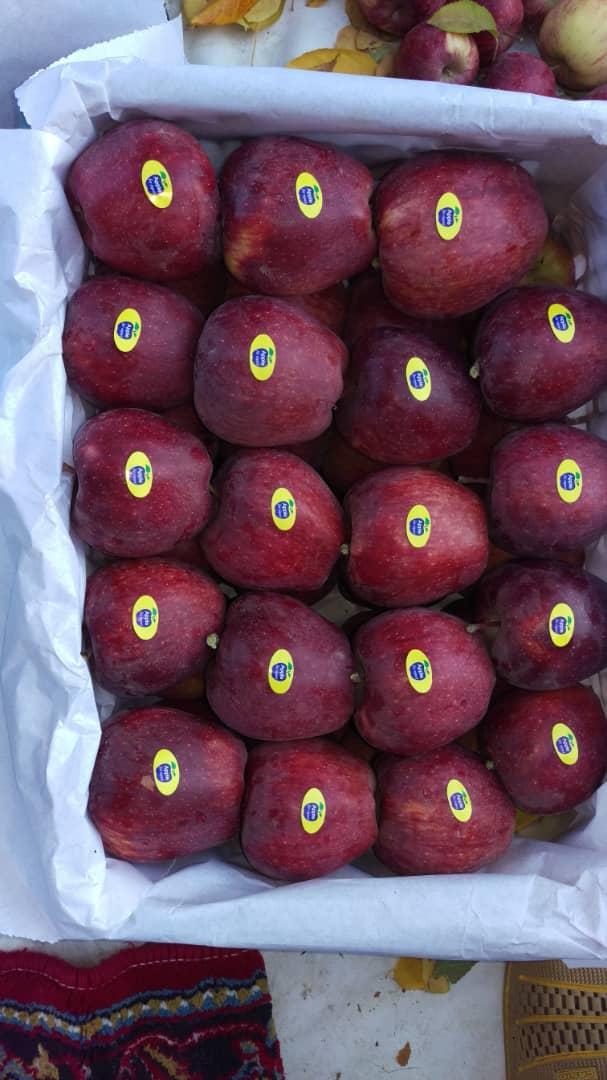 خرید سیب درجه یک سلماس + ارسال آسان